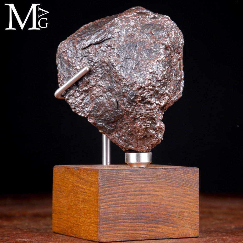 Campo Del Cielo - Core of an asteroid Campo del Cielo Meteorite – Cosmic Sculpture on Artist’s Base - Height: 164 mm - Width: 89 mm- 2314 g #4.3