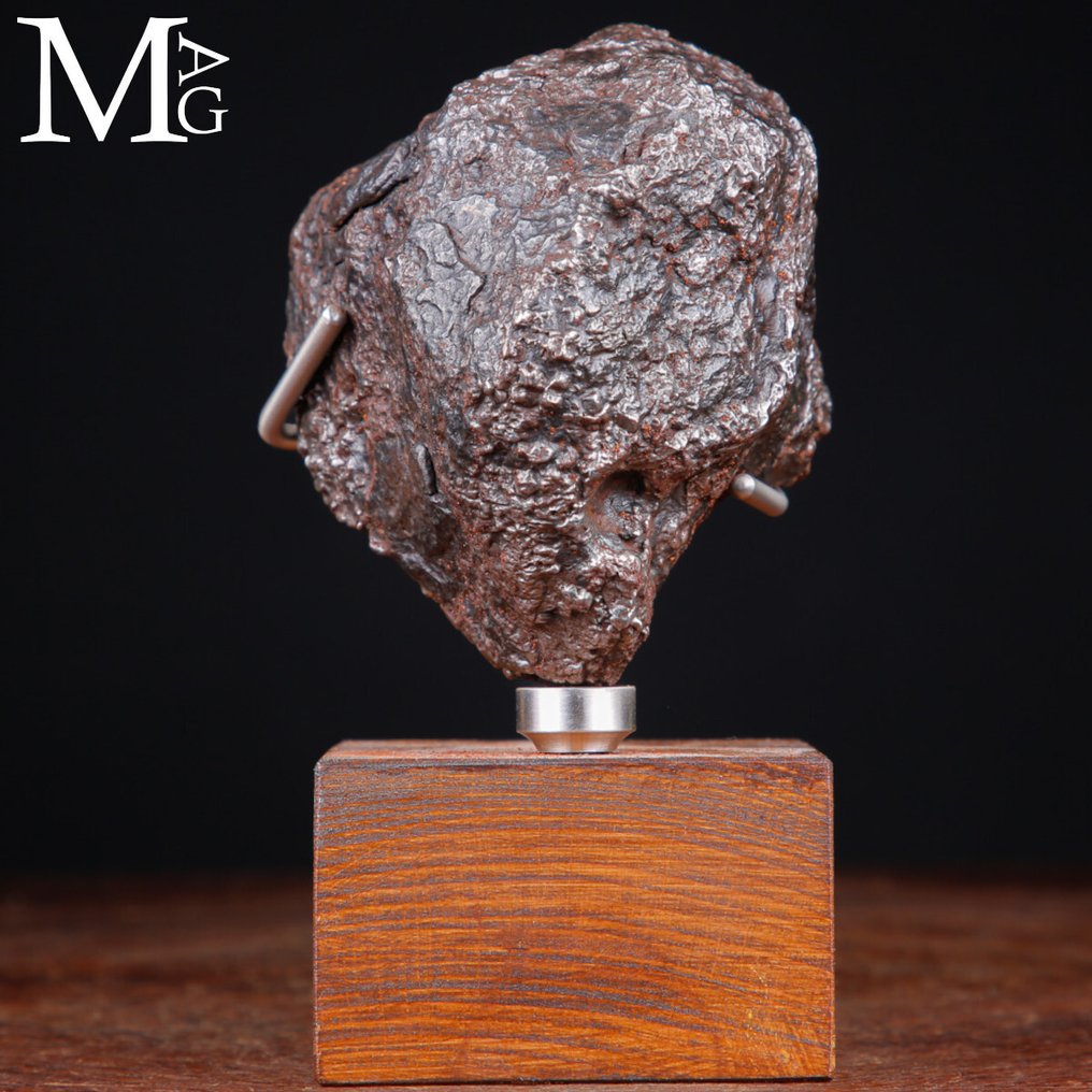 Campo Del Cielo - Core of an asteroid Campo del Cielo Meteorite – Cosmic Sculpture on Artist’s Base - Height: 164 mm - Width: 89 mm- 2314 g #3.2