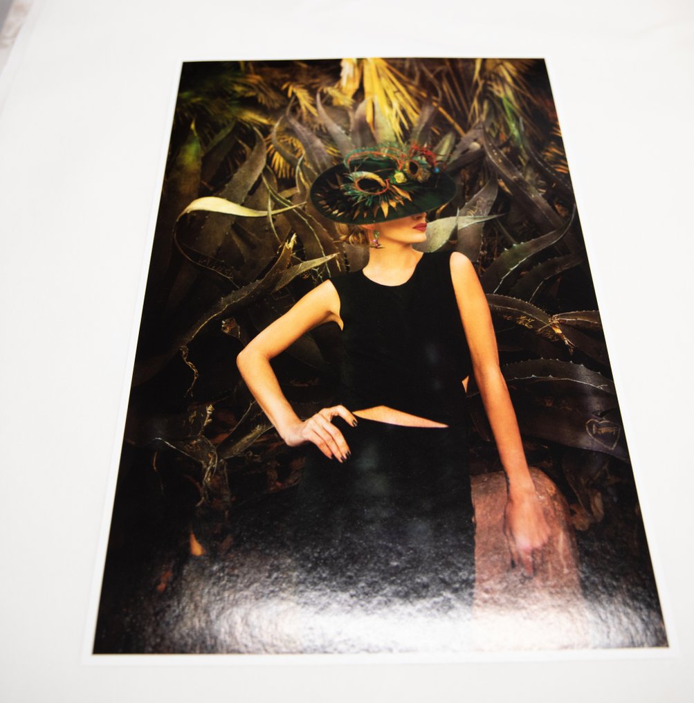 Viet Ha Tran - Cactus lady #2.1