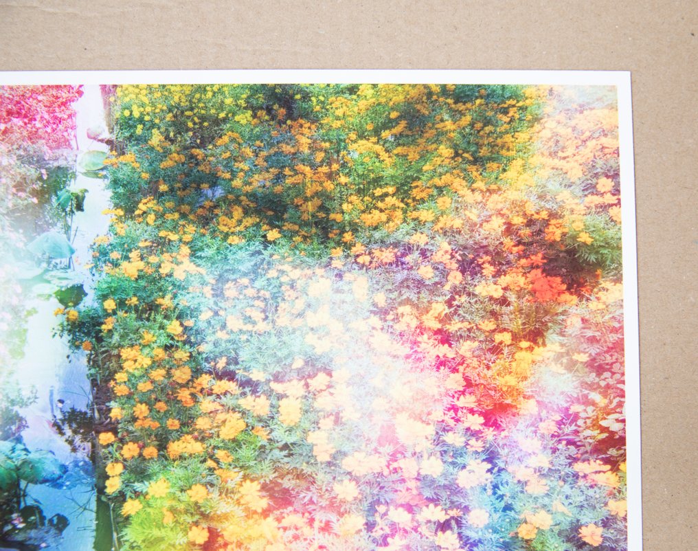 Viet Ha Tran - Flower dreams #4.3