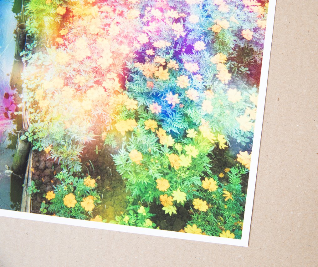 Viet Ha Tran - Flower dreams #2.1