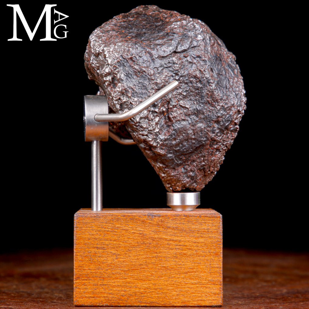 Campo Del Cielo - Core of an asteroid Campo del Cielo Meteorite – Cosmic Sculpture on Artist’s Base - Height: 164 mm - Width: 89 mm- 2314 g #2.1