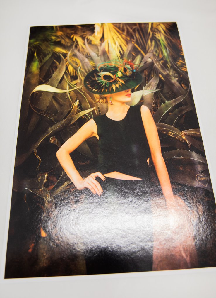 Viet Ha Tran - Cactus lady #3.2