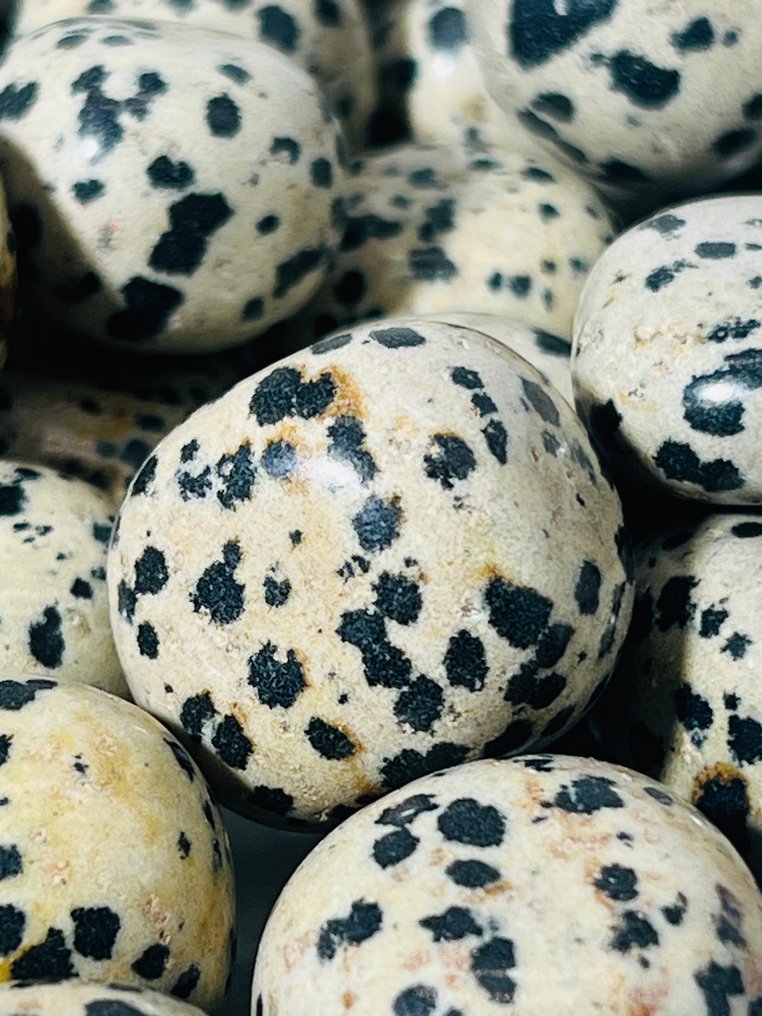 ***NO RESERVE*** Dalmatian (Kiwi) Jasper Tumbles | 58–60 pcs | 20–25mm- 1000 g - (1) #4.3