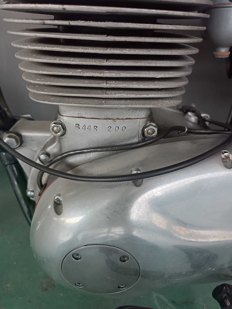 BSA - B44R - Victor Roadster - 450 cc - 1967 #3.2