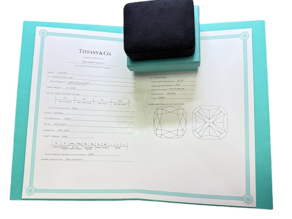 Tiffany & Co. - Kaulakoru Platina Keltainen Timantti (Luonnonvärinen) - Timantti #4.3