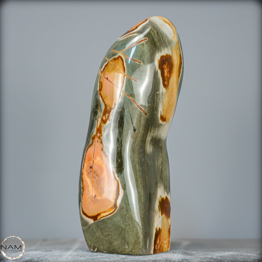 Naturlig Meget Kunstnerisk Polykrom Jaspis Friform- 3922.51 g #2.1