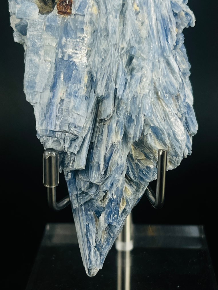 Striking blue kyanite cluster in quartz matrix Uncommon Long Formation - Height: 220 mm - Width: 80 mm- 1590 g - (1) #4.3