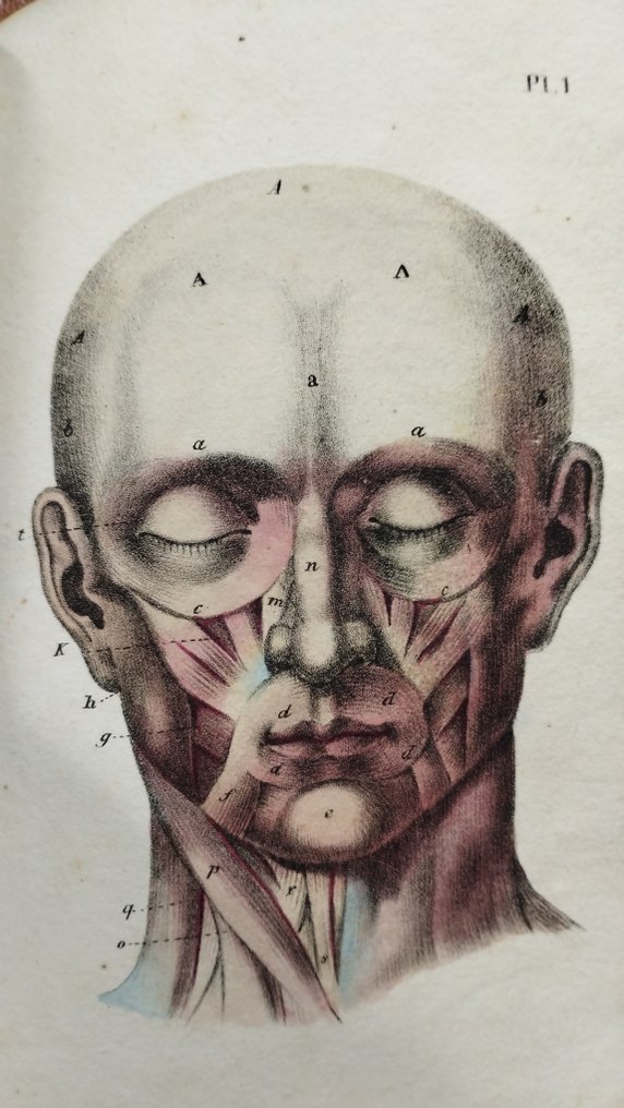 N. J. Ottin / Lavater - Précis analytique et raisonné du système et sur les signes physiognomoniques - 1834 #1.0