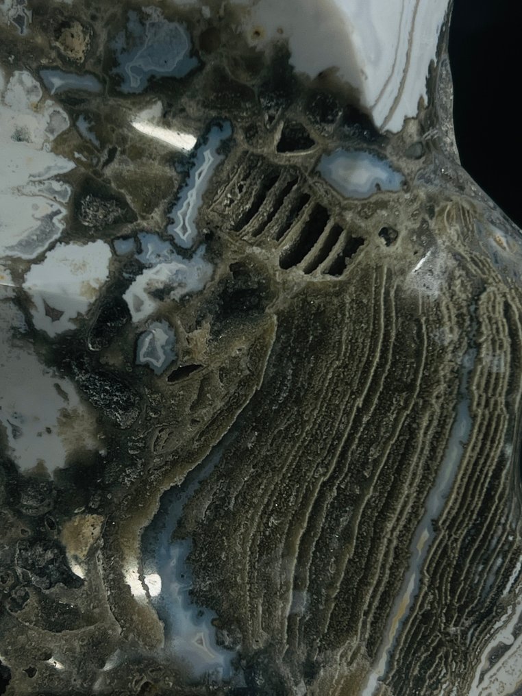 Polished Ocean Jasper Flame Featuring Fossil-Inspired Cavity Fossil-Inspired Cavity - Height: 210 mm - Width: 120 mm- 1574 g - (1) #4.3