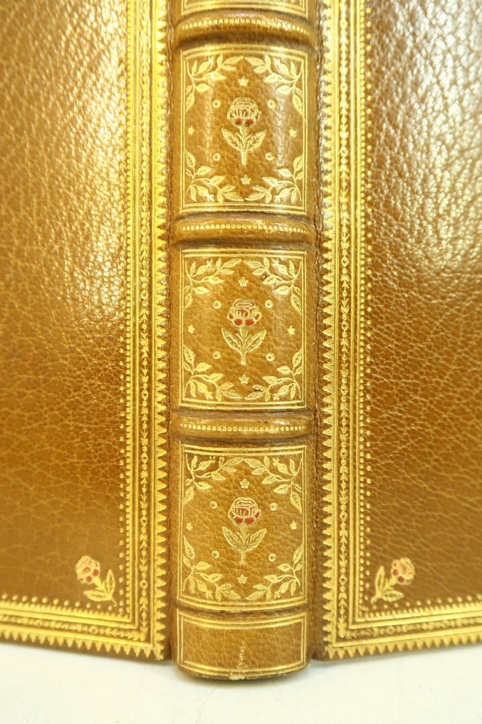 Léon Hennique / Vadasz - Benjamin Rozes [reliure mosaïquée de Samblanx & Weckesser ; suites] - 1906 #2.1