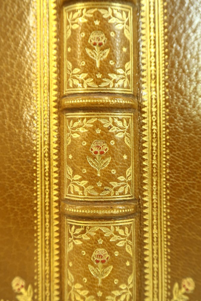 Léon Hennique / Vadasz - Benjamin Rozes [reliure mosaïquée de Samblanx & Weckesser ; suites] - 1906 #3.2