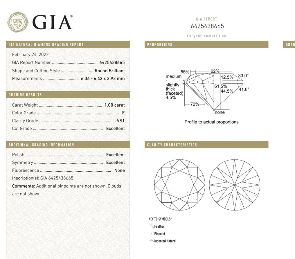1 pcs 钻石 (天然) - 1.00 ct - 圆形 - E - VS1 轻微内含一级 - 美国宝石研究院(GIA) #4.3