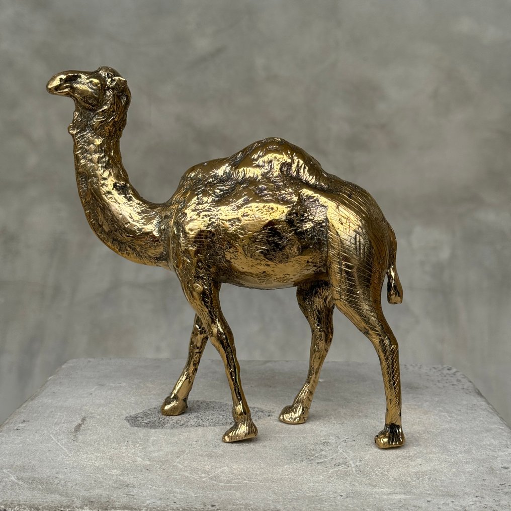 Γλυπτό, NO RESERVE PRICE - Bronze Polished Dromedary Sculpture - 16 cm - Μπρούντζος #2.1