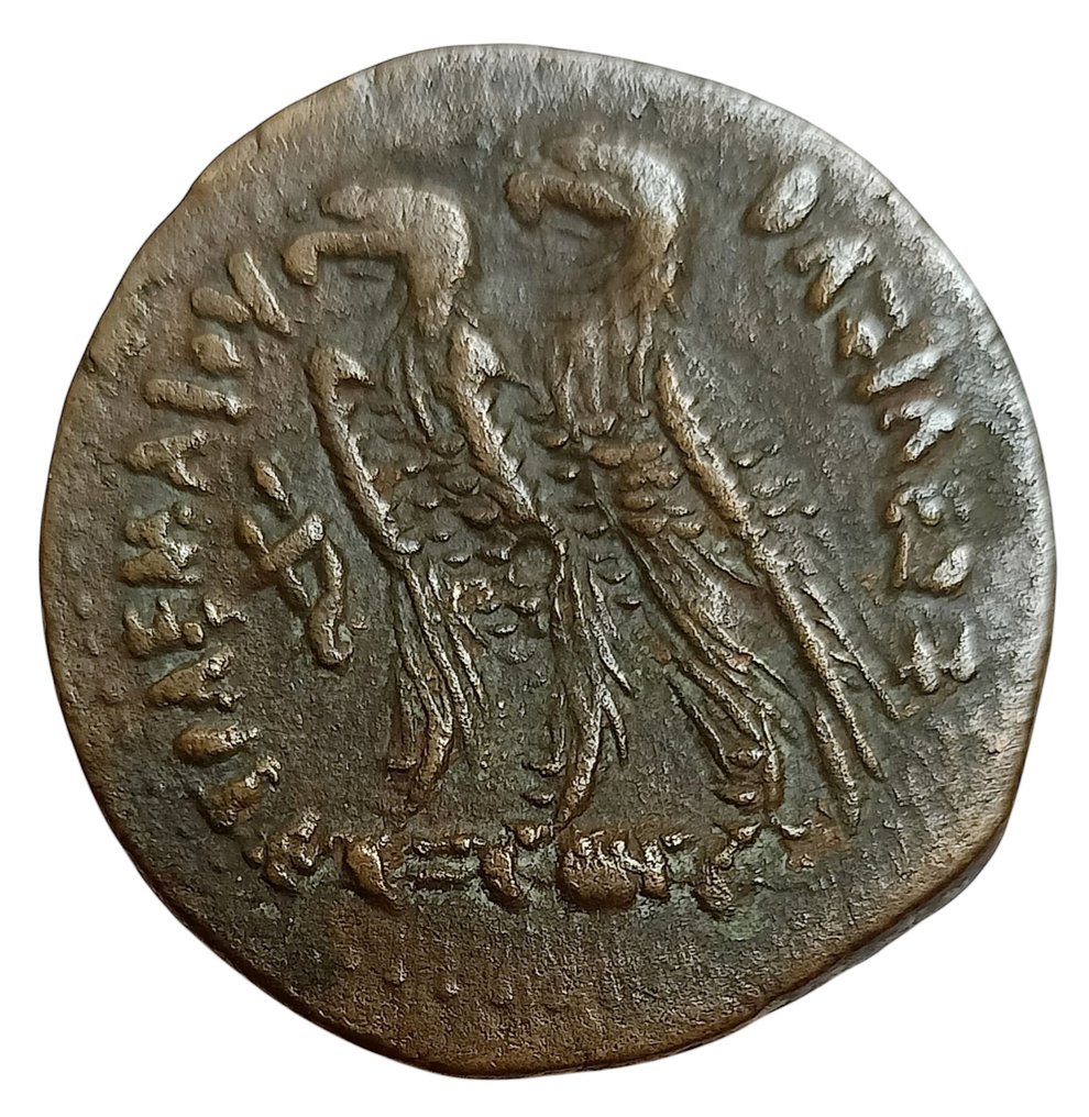 Egipt ptolemejski. Ptolemeusz V Epifanes (204-180 p.n.e.). Drachm Alexandria 205-180 BC #1.0