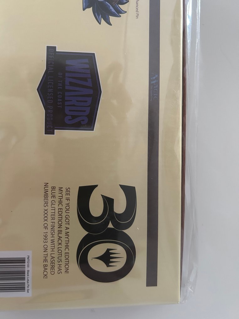 Pinfinity - 1 Sealed box - Magic: The Gathering #4.3