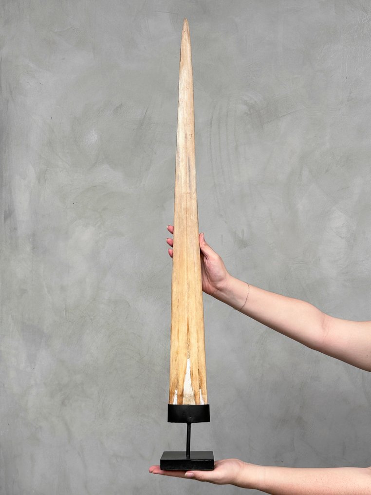 Fără preț de rezervă - Uncat de pește-spadă sculptat - motif Maori Mangapore Cioc pe suport - Xiphias Gladius - 92 cm - 10 cm - 10 cm- Speciile Non-CITES - (1) #2.1