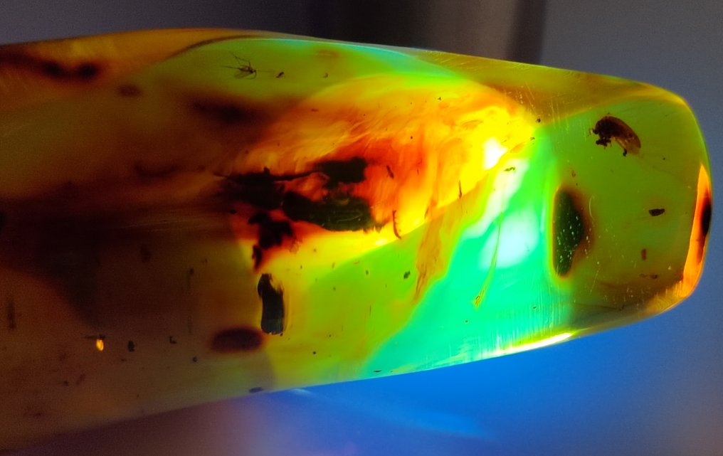 FOSSlL-AMAZING!! Dominican amber-150 cts- 30 g #2.1