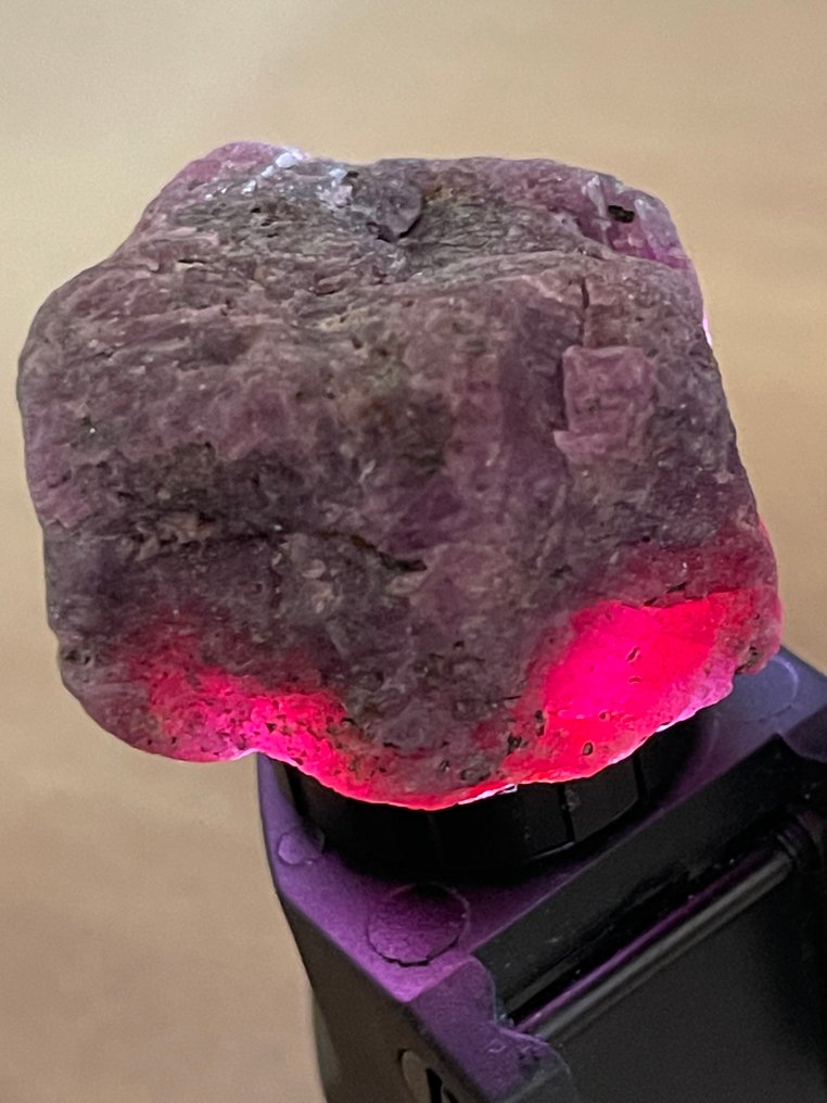 红宝石 未加工。275.5 克拉 巨型莫桑石红宝石晶体。百分百天然 - 高度: 40 mm - 宽度: 26 mm- 55.1 g #2.1