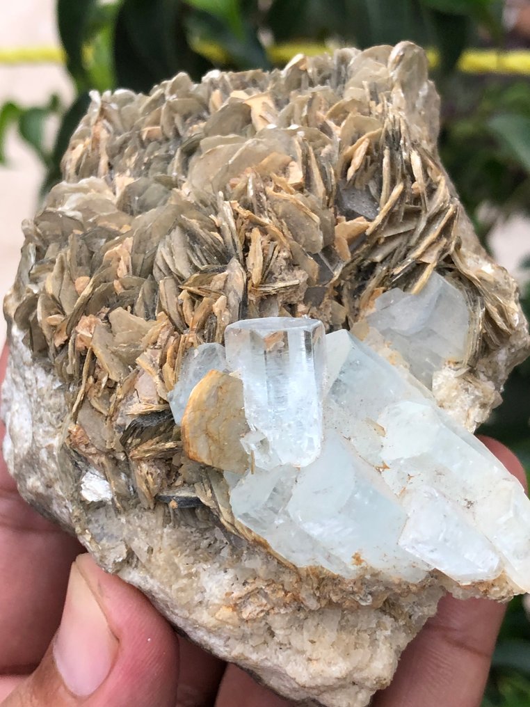 Ακουαμαρίνης Δείγμα - Ύψος: 77 mm - Πλάτος: 48 mm- 288 g - (1) #4.3