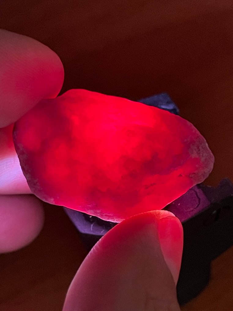 Ρουμπίνι Αγριό, εκπληκτικό κορυφαίο χρώμα Ruby Crystal από Μοζαμβίκη. 102,5 καράτια, 100% ειδικό. - Ύψος: 37 mm - Πλάτος: 23 mm- 20.5 g #4.3