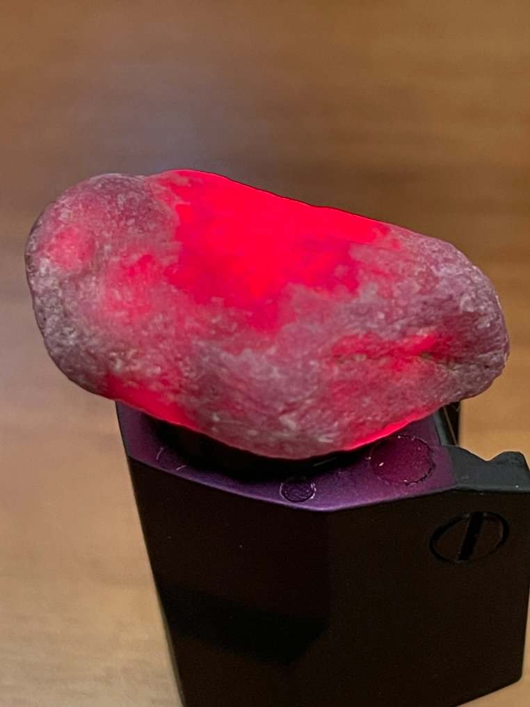 Ρουμπίνι Αγριό, εκπληκτικό κορυφαίο χρώμα Ruby Crystal από Μοζαμβίκη. 102,5 καράτια, 100% ειδικό. - Ύψος: 37 mm - Πλάτος: 23 mm- 20.5 g #3.2