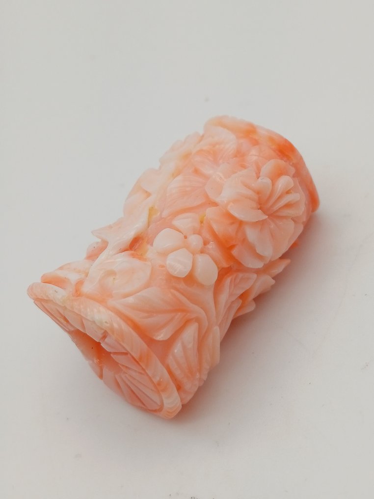 Κοράλλι Κοράλλι - Corallium rubrum #1.0