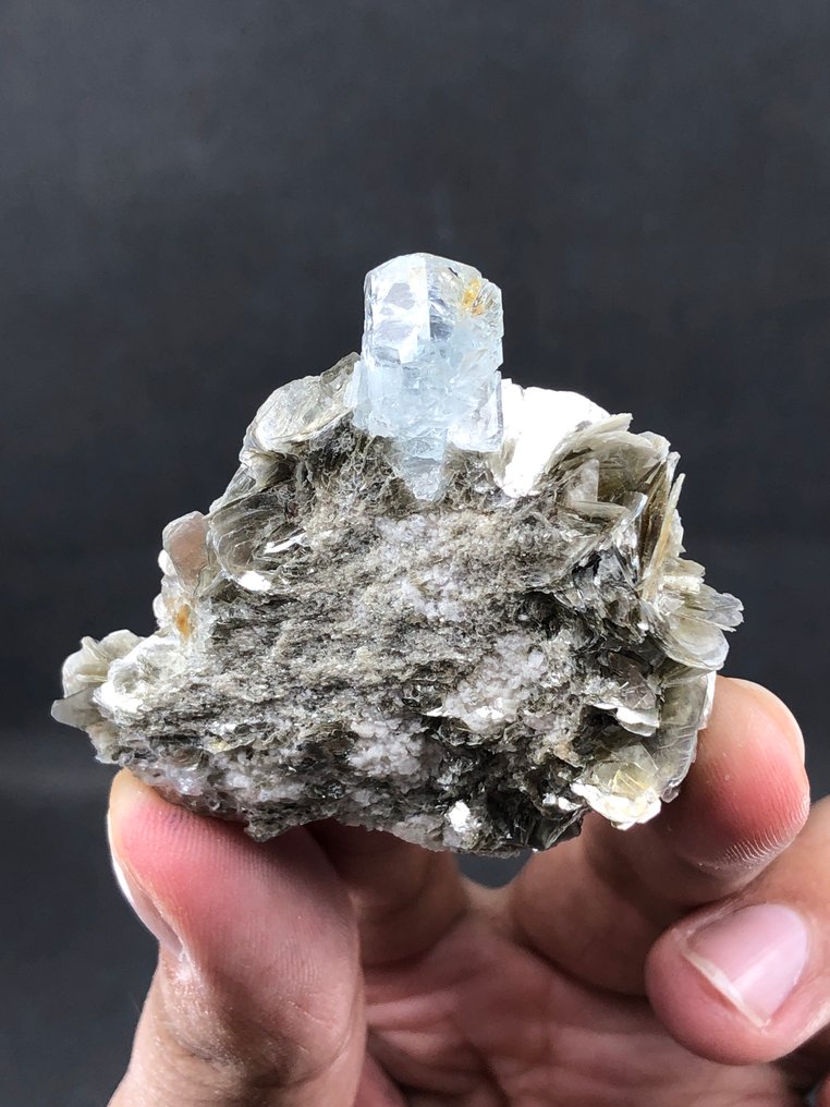 Natural Aquamarine Crystal With Muscovite. Crystal on matrix - Height: 50 mm - Width: 44 mm- 34.5 g - (1) #1.0