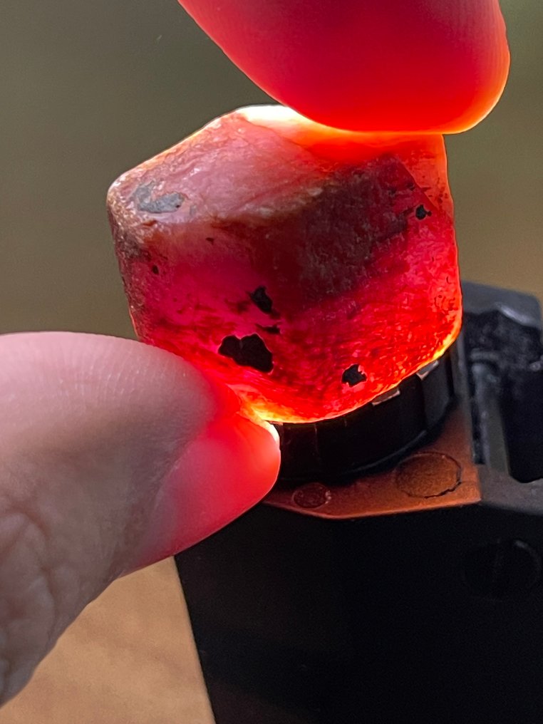 Ruby 粗糙的惊艳水晶！顶级红宝石色。95.6 克拉。百分之百天然且特别的红宝石。 - 高度: 22 mm - 闊度: 18 mm- 19.12 g #3.2