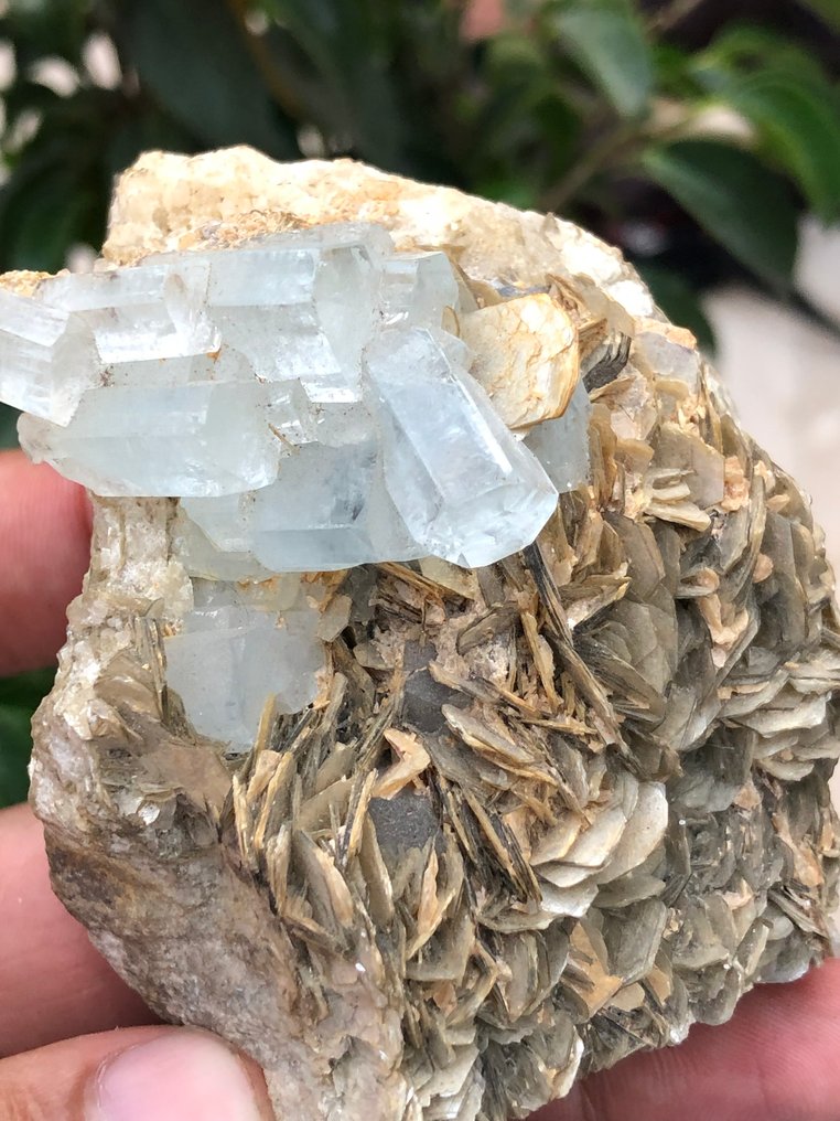 Ακουαμαρίνης Δείγμα - Ύψος: 77 mm - Πλάτος: 48 mm- 288 g - (1) #2.1