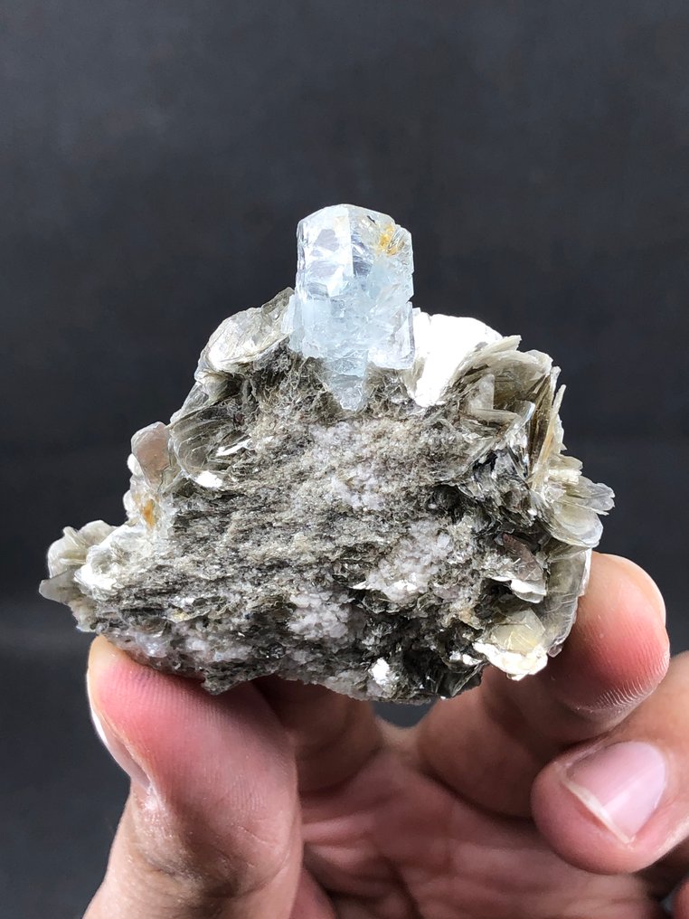 Natural Aquamarine Crystal With Muscovite. Crystal on matrix - Height: 50 mm - Width: 44 mm- 34.5 g - (1) #1.0