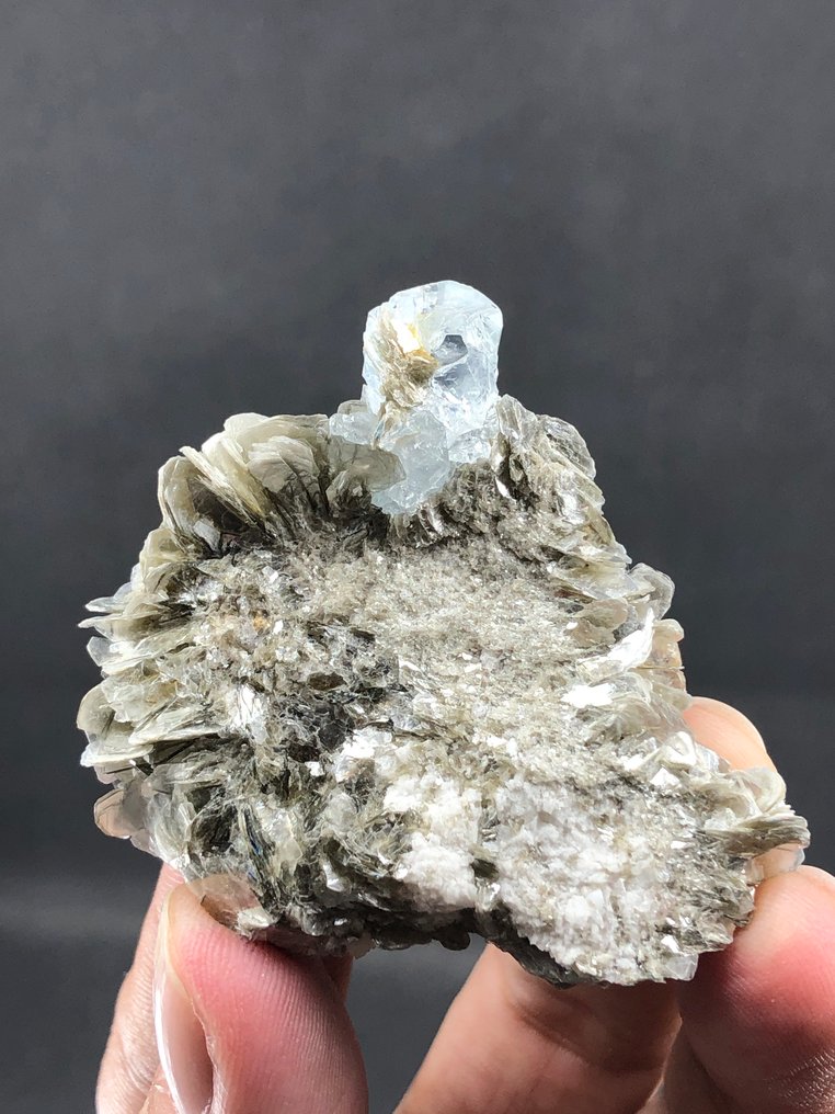 Natural Aquamarine Crystal With Muscovite. Crystal on matrix - Height: 50 mm - Width: 44 mm- 34.5 g - (1) #4.3