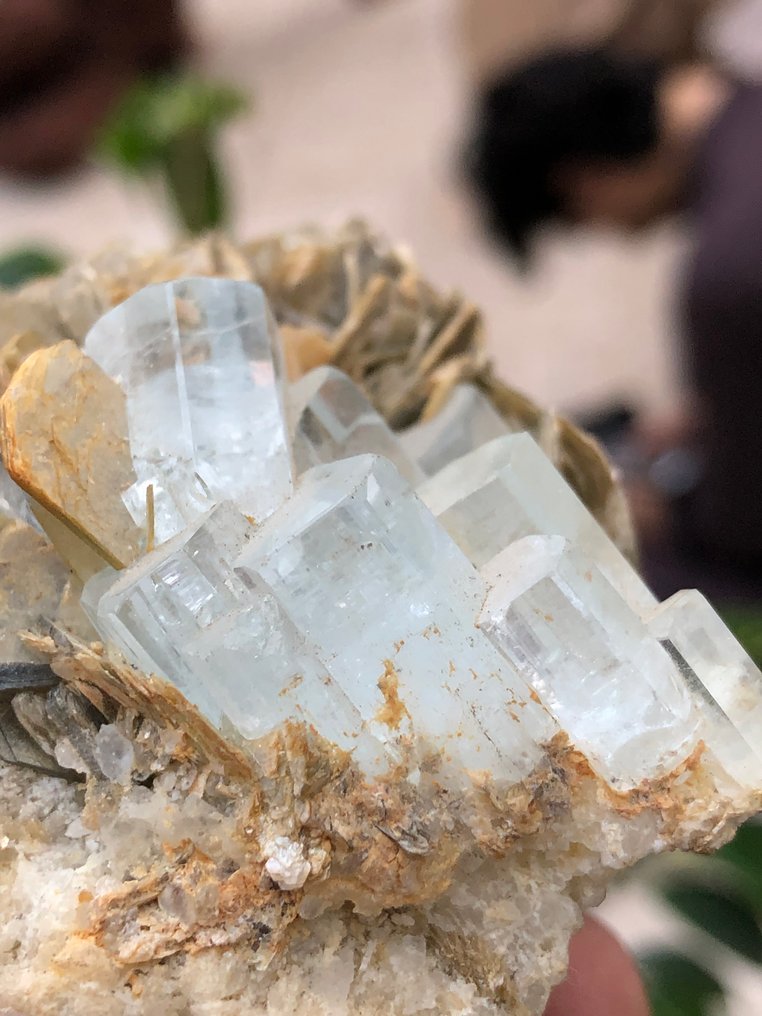 Ακουαμαρίνης Δείγμα - Ύψος: 77 mm - Πλάτος: 48 mm- 288 g - (1) #1.0