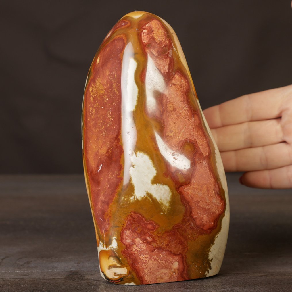 Policrhome Jasper - First Quality Madagascar Jasper – Ornamental Freeform - Height: 173 mm - Width: 90 mm- 1728 g #1.0