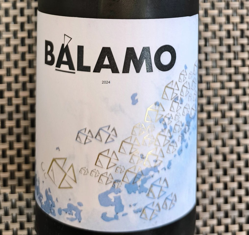 2024 Vinigalicia, Balamo - 下海湾地区 - 12 Bottles (0.75L) #2.1