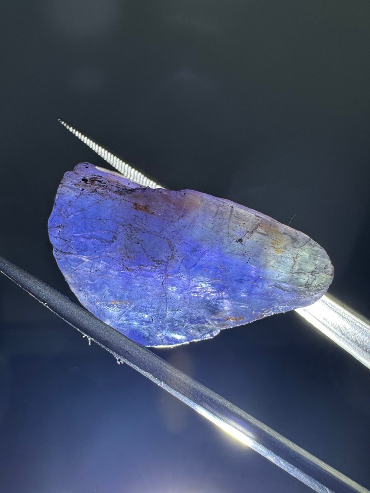 Pakke med 3 tanzanitkrystaller. 73,19 ct. Ingen reservetilbud. Grov- 14.64 g - (3) #2.1