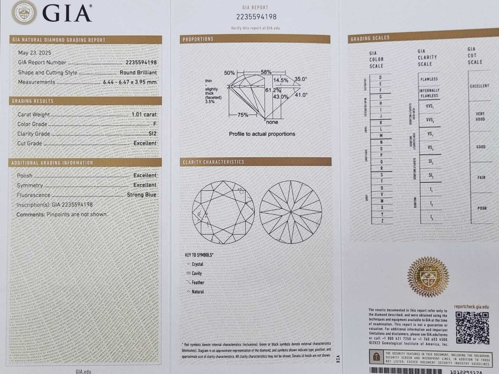 1 pcs 钻石  (天然)  - 1.01 ct - 圆形 - F - SI2 微内含二级 - 美国宝石研究院（GIA） #4.3
