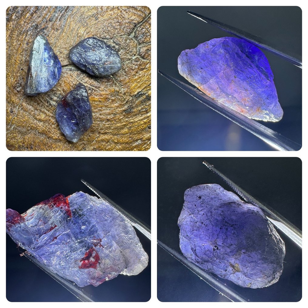 Pakke med 3 tanzanitkrystaller. 73,19 ct. Ingen reservetilbud. Grov- 14.64 g - (3) #1.0