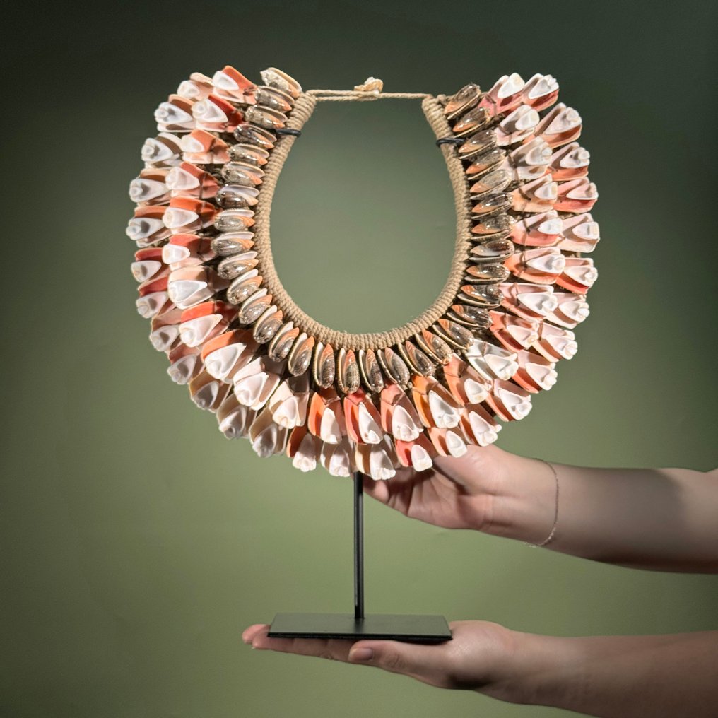 Ornament decorativ - NO RESERVE PRICE - SN14 - Decorative Shell Necklace on a custom stand - Papua Noua Guinee #1.0
