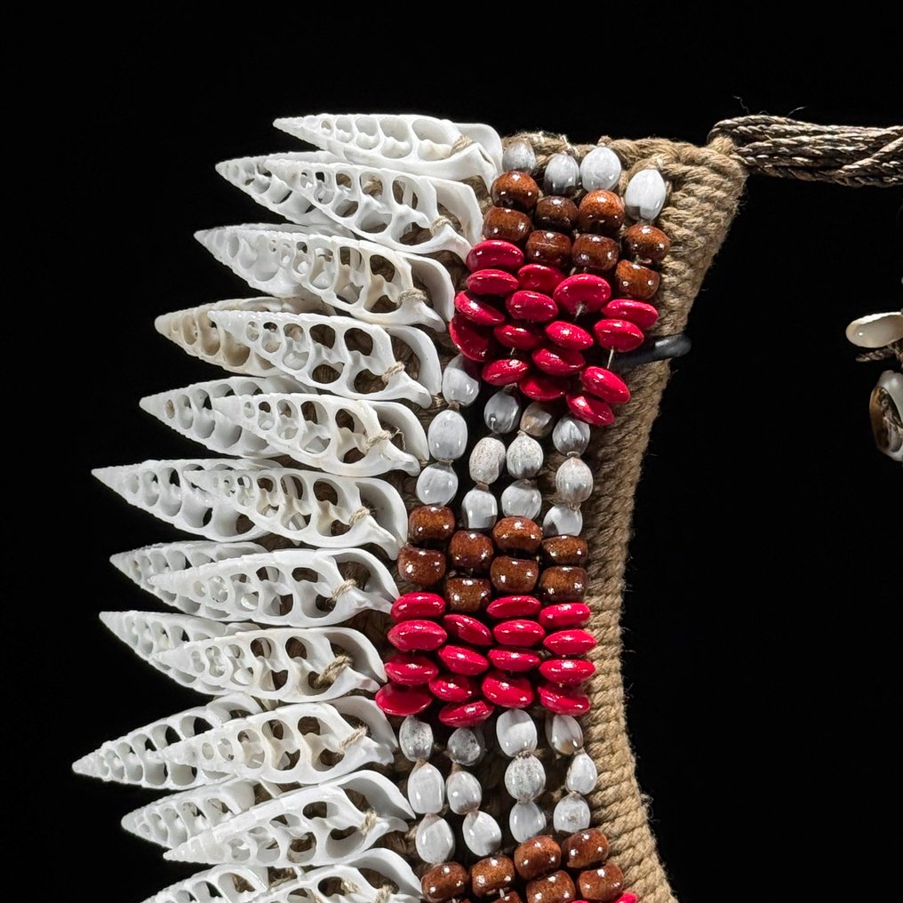 Διακοσμητικό στολίδι - NO RESERVE PRICE - SN4 - Decorative Shell Necklace on a custom stand - Παπούα Νέα Γουινέα #4.3