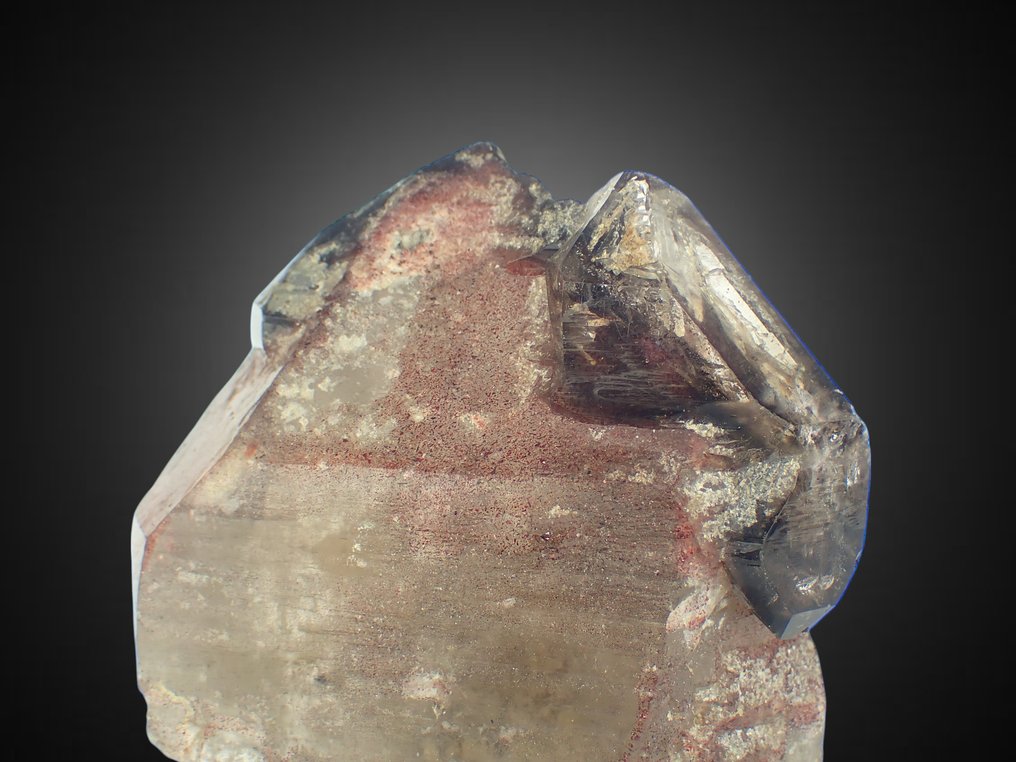 Smoky Quartz Zepter Crystal - aus Sammlung Roger Lang - Höhe: 75 mm - Breite: 70 mm- 202 g #2.1