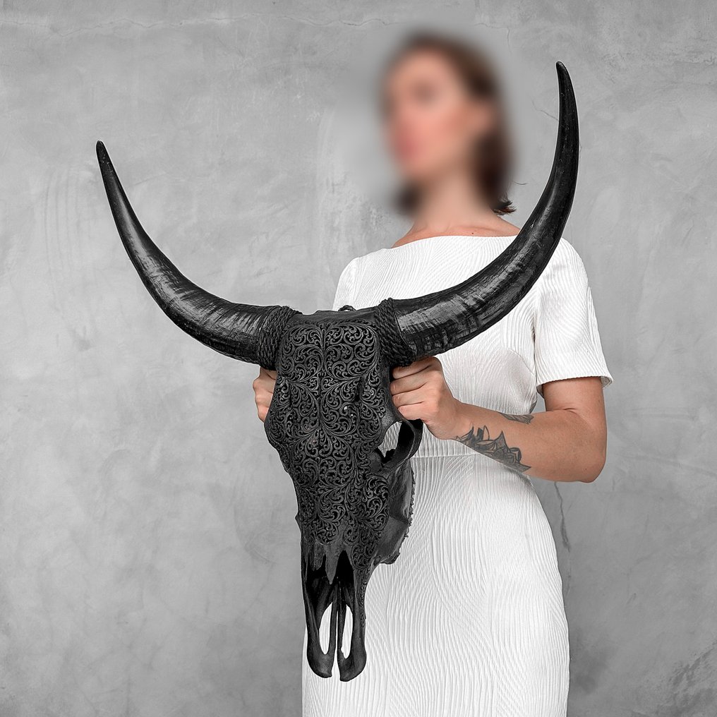 无底价 - 正品大号黑色雕刻水牛头骨 - 蕨叶图案 雕刻的颅骨 - Bubalus Bubalis - 62 cm - 58 cm - 17 cm- 非《濒危物种公约》物种 -  (1) #4.3