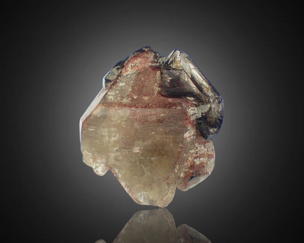 Smoky Quartz Zepter Crystal - aus Sammlung Roger Lang - Höhe: 75 mm - Breite: 70 mm- 202 g #1.0