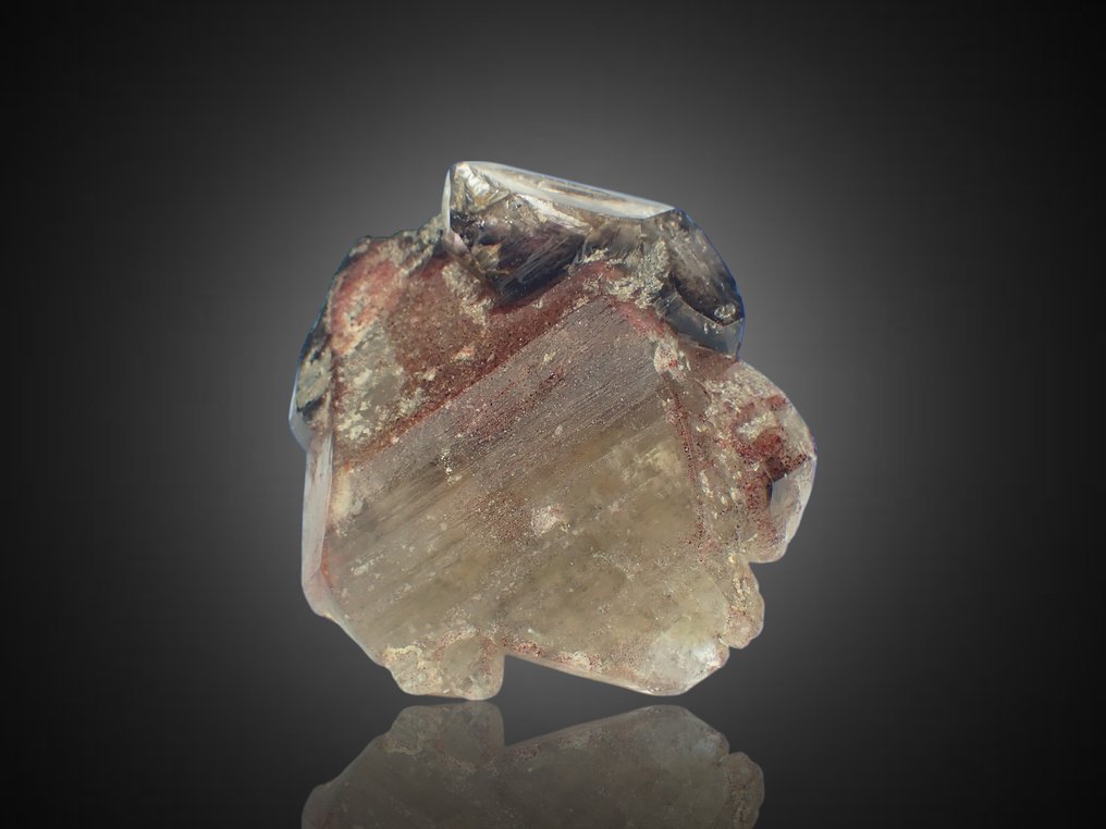 Smoky Quartz Zepter Crystal - aus Sammlung Roger Lang - Höhe: 75 mm - Breite: 70 mm- 202 g #4.3