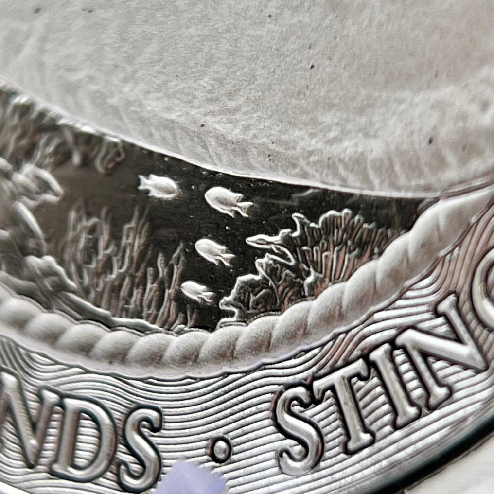 Kaaimaneilanden (Brits overzees gebied). 1 Dollar 2025 Stingray – 1 oz Silver Coin (.9999) BU (Zonder minimumprijs) #4.3