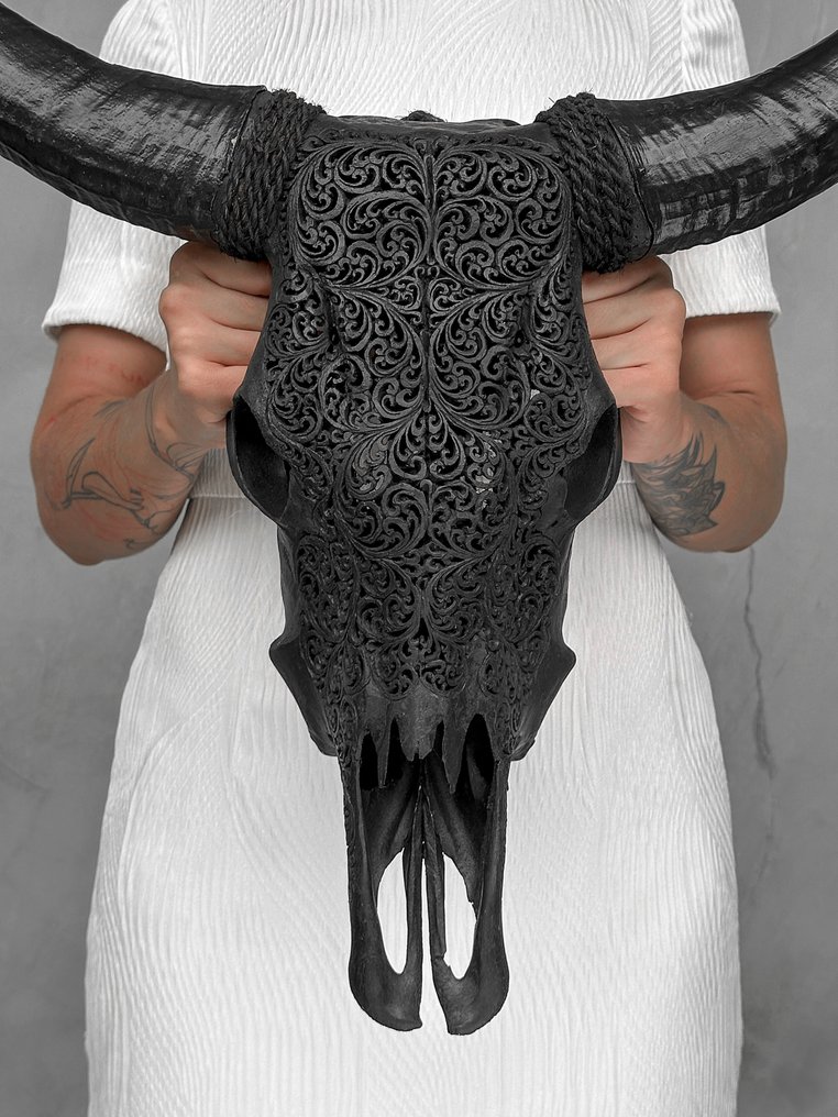 无底价 - 正品大号黑色雕刻水牛头骨 - 蕨叶图案 雕刻的颅骨 - Bubalus Bubalis - 62 cm - 58 cm - 17 cm- 非《濒危物种公约》物种 -  (1) #1.0