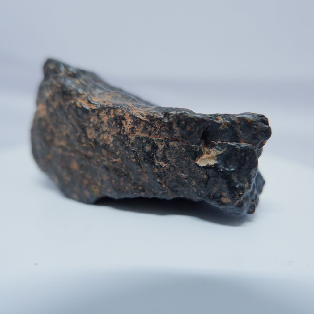 Kénadsa 001 - (CVox3) 碳質球粒隕石 - 高度: 63 mm - 闊度: 32 mm - 77.1 g #2.1