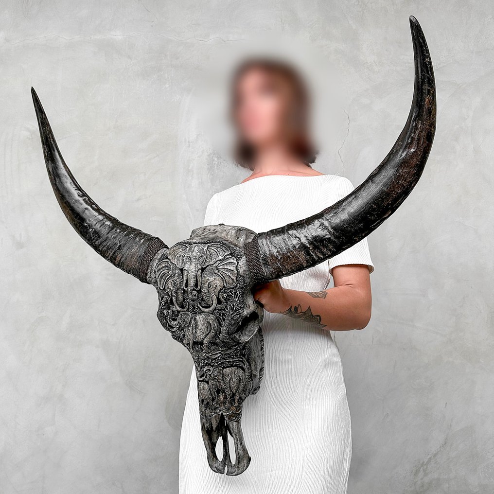 无底价 - C - 正品大型手工雕刻灰色水牛头骨 - 大象图案 雕刻的颅骨 - Bubalus Bubalis - 78 cm - 81 cm - 22 cm- 非《濒危物种公约》物种 #3.2