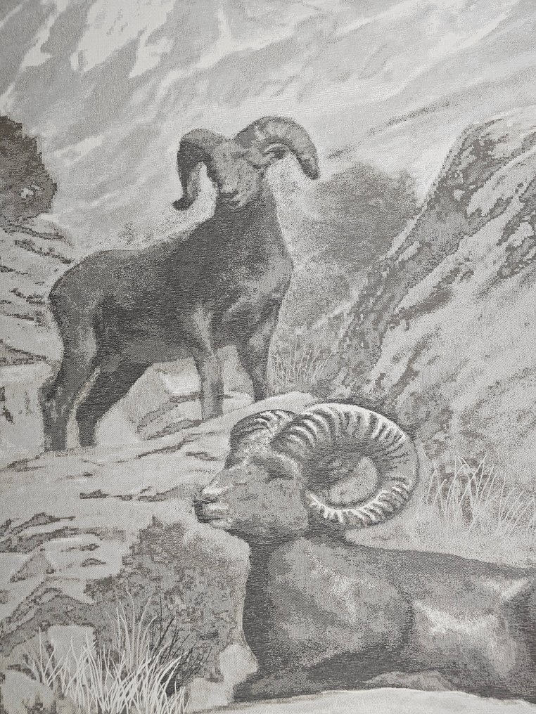 ARAZZO în jacquard de Alpaca exclusiv - 185x140cm - Mufloni pe Alpi - Tapiserie - 185 cm - 140 cm #2.1