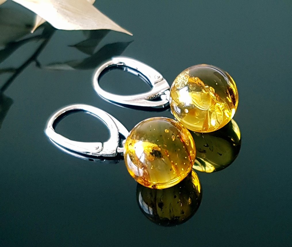 稀有天然波罗的海琥珀耳环，带有化石昆虫包裹——圆球琥珀珠 - 琥珀  (没有保留价) #1.0